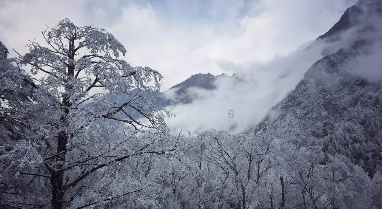 清雪除冰进行中,已出动1.2万余人+1100余台机械