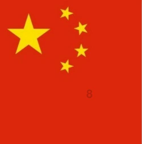 五彩鹦鹉救援