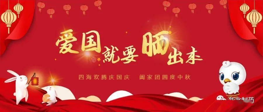 救援呆萌的猫