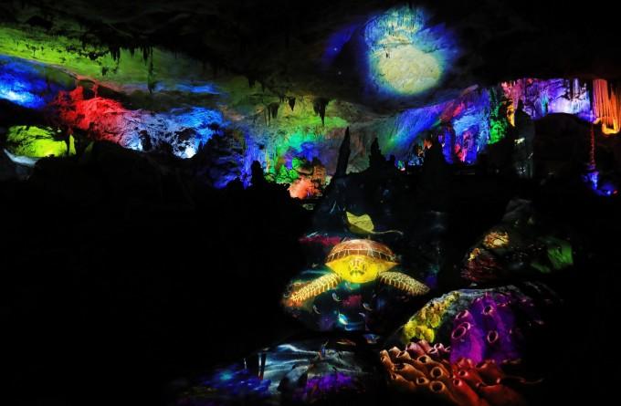 “龙行中华—甲辰龙年生肖文物大联展”在固原博物馆展出